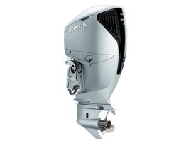 26YM BF 250 DK1 DWB NHB14 aws 03