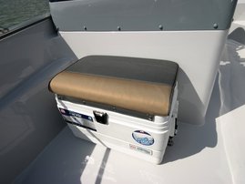 Insulated Igloo-coolbox, 54 l