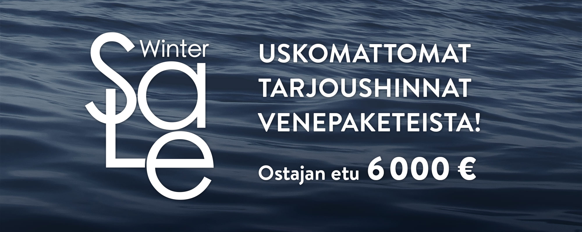 Silver - Winter Sale - Banneri 1