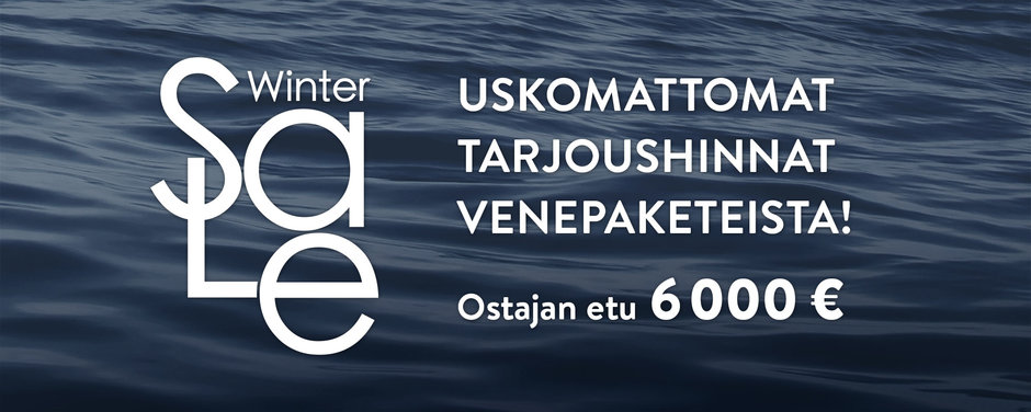 Silver - Winter Sale - Banneri 1