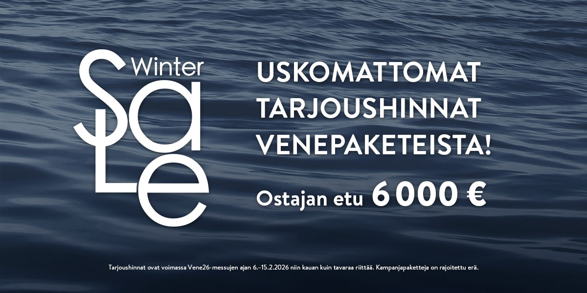 Silver - Winter Sale - Banneri 2