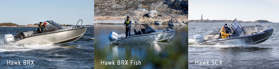 Silver Hawk BRX-fish-SCX - panorama