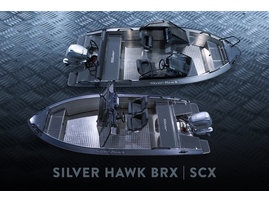 Silver Hawk BRX SCX 2025